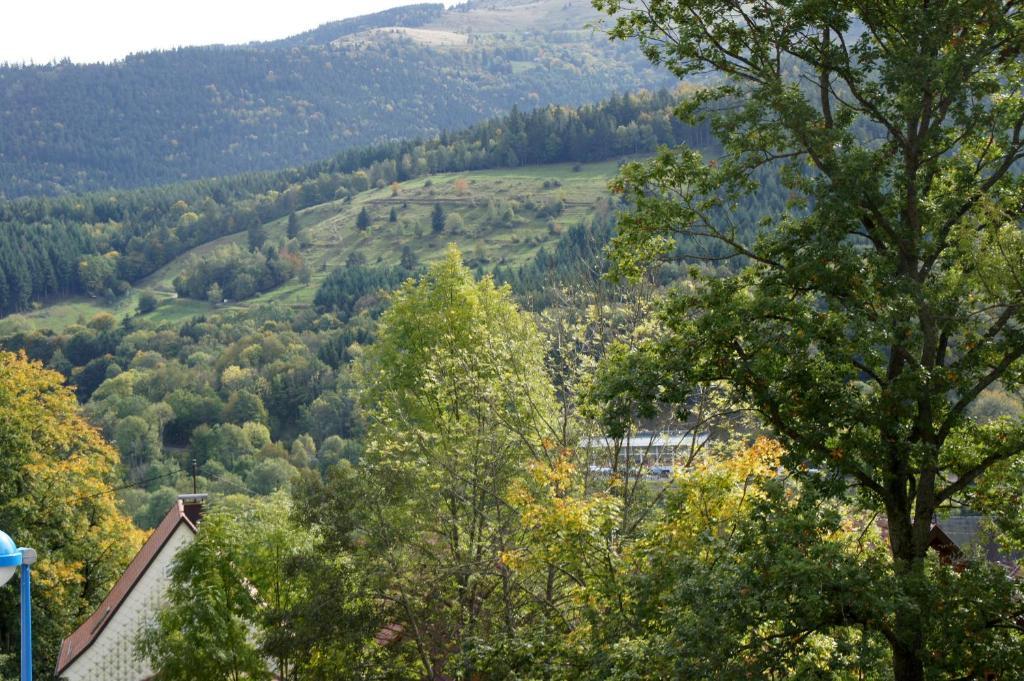 Hotel Restaurant Perle Des Vosges Muhlbach-sur-Munster Kültér fotó